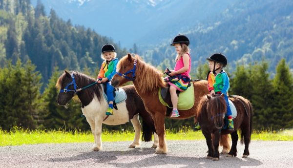 Bauernhof Mit Kindern 5 Bauernhöfe In Deutschland Im Test 